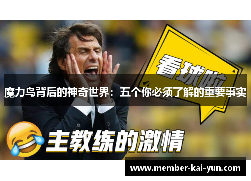 魔力鸟背后的神奇世界：五个你必须了解的重要事实