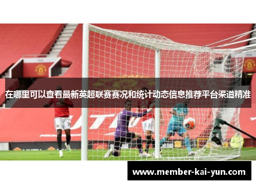 在哪里可以查看最新英超联赛赛况和统计动态信息推荐平台渠道精准